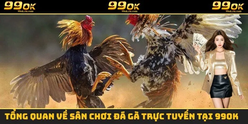 Một vài thông tin cơ bản cần nắm được về sân chơi đá gà tại 99OK