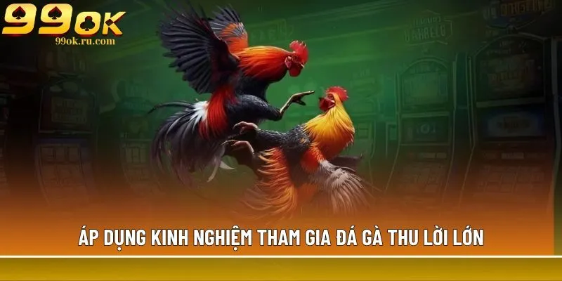 Áp dụng kinh nghiệm tham gia đá gà thu lời lớn