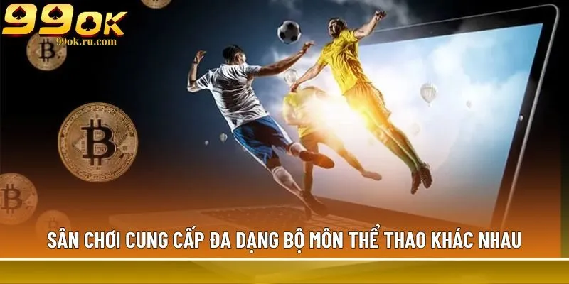 Sân chơi cung cấp đa dạng bộ môn thể thao khác nhau